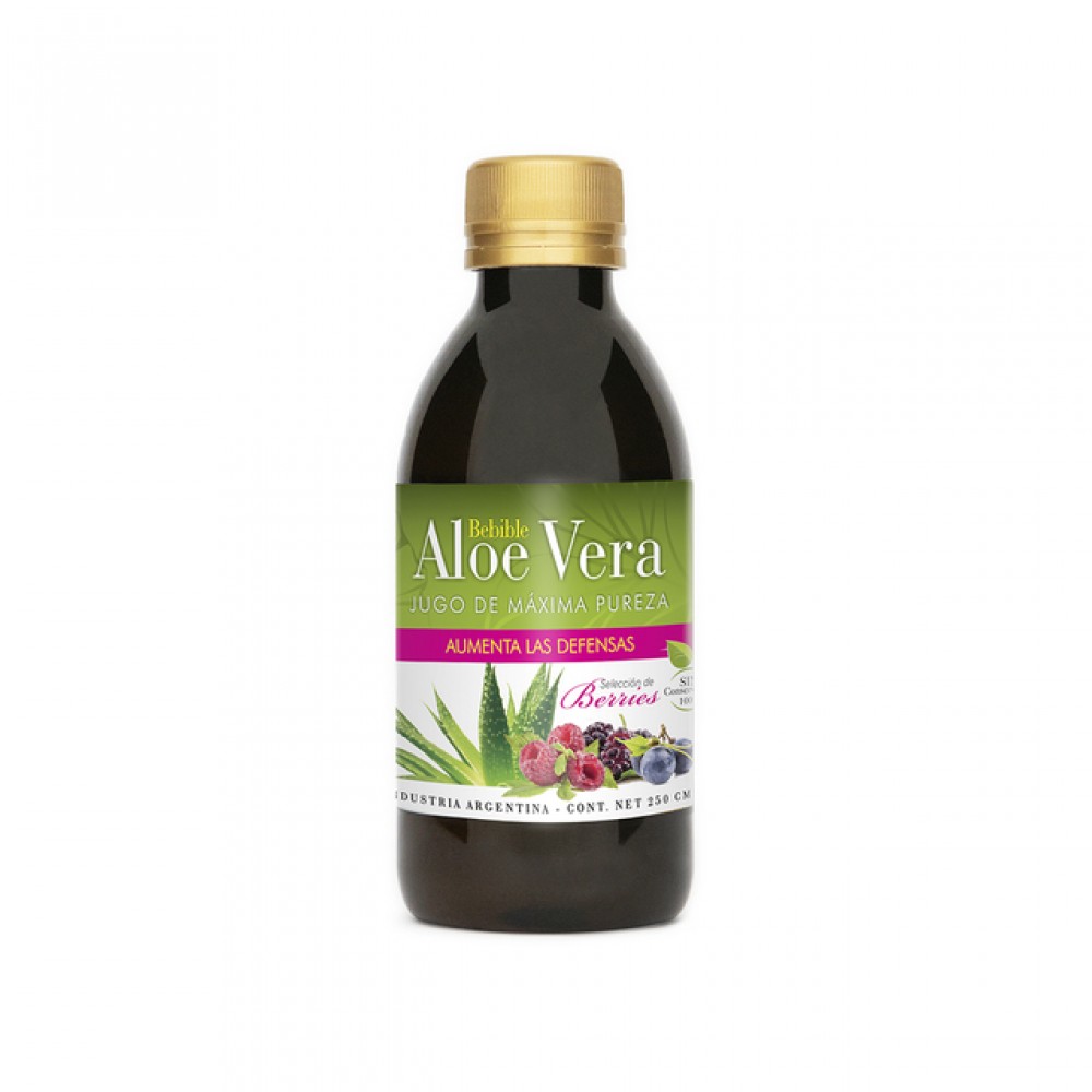 aloe-vera-con-berries-bebible-x-250-ml-natier-450